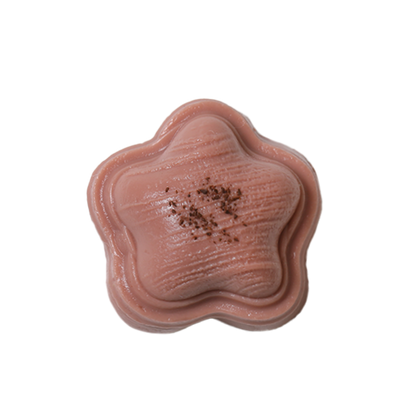 Chocolate Star Squishy